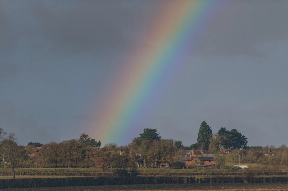 Grassland with a rainbow in the background