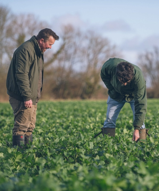 Two people inspecting farmland